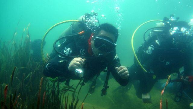 海盗的寻宝之旅